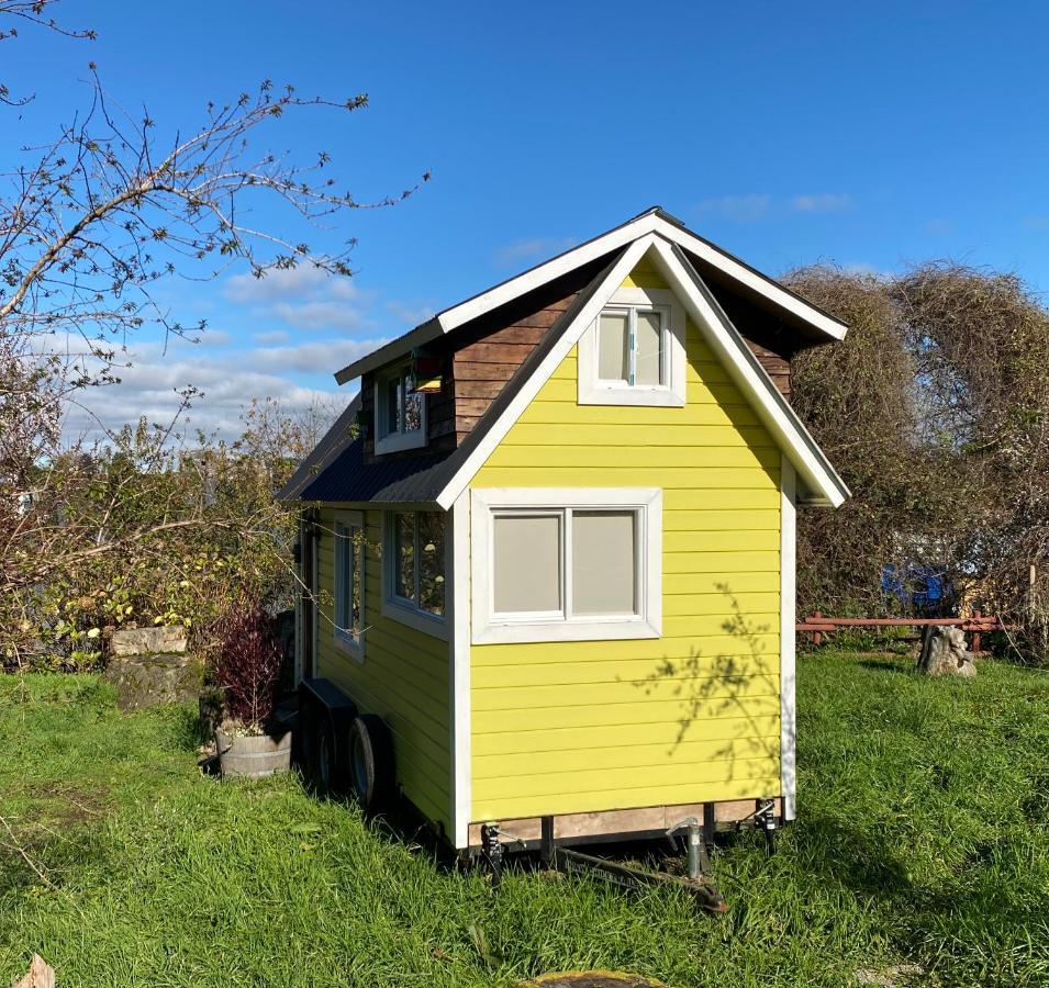 La Guapa Puerto Varas